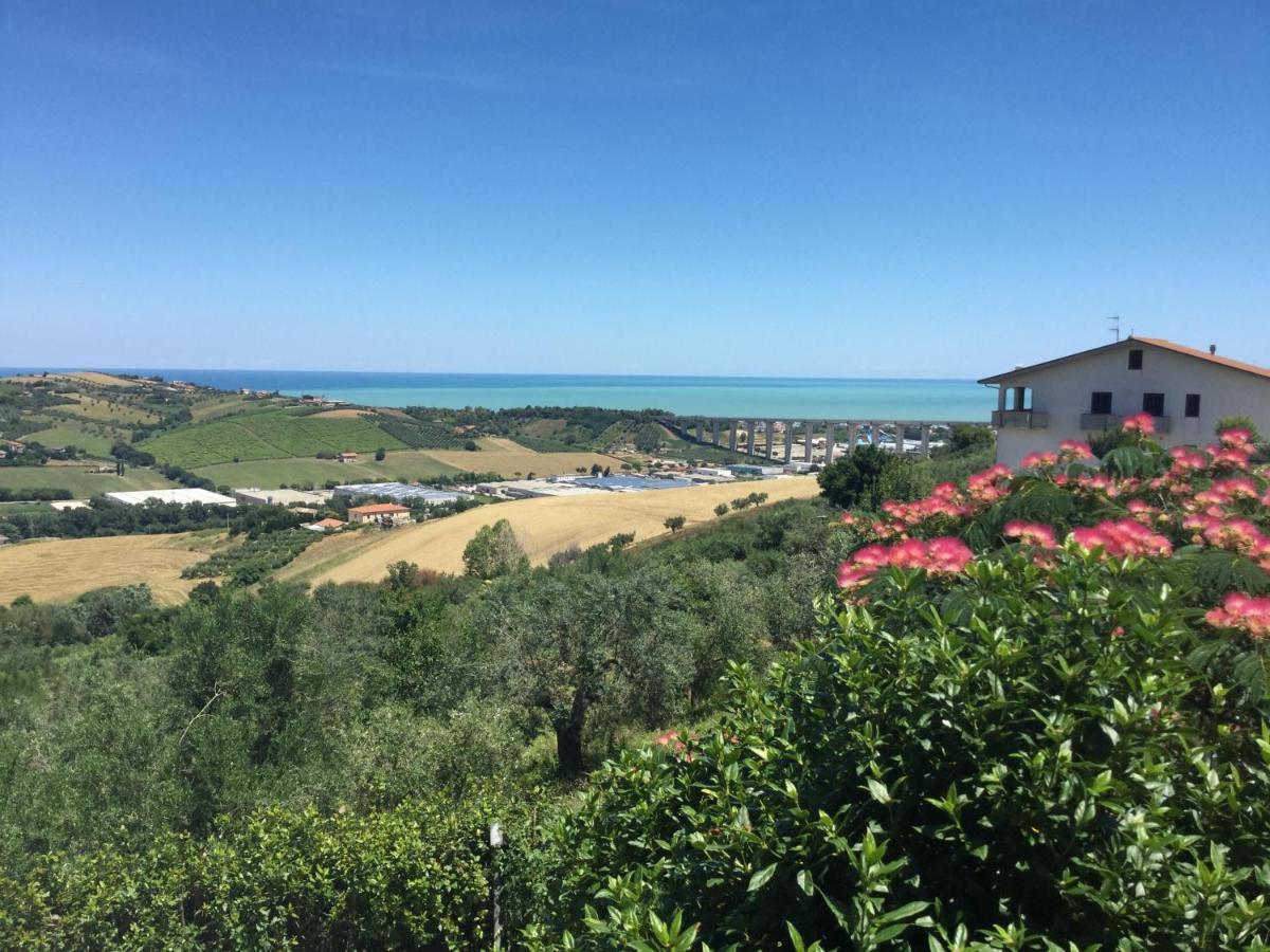 Ellebi B&B Montone  Exteriér fotografie