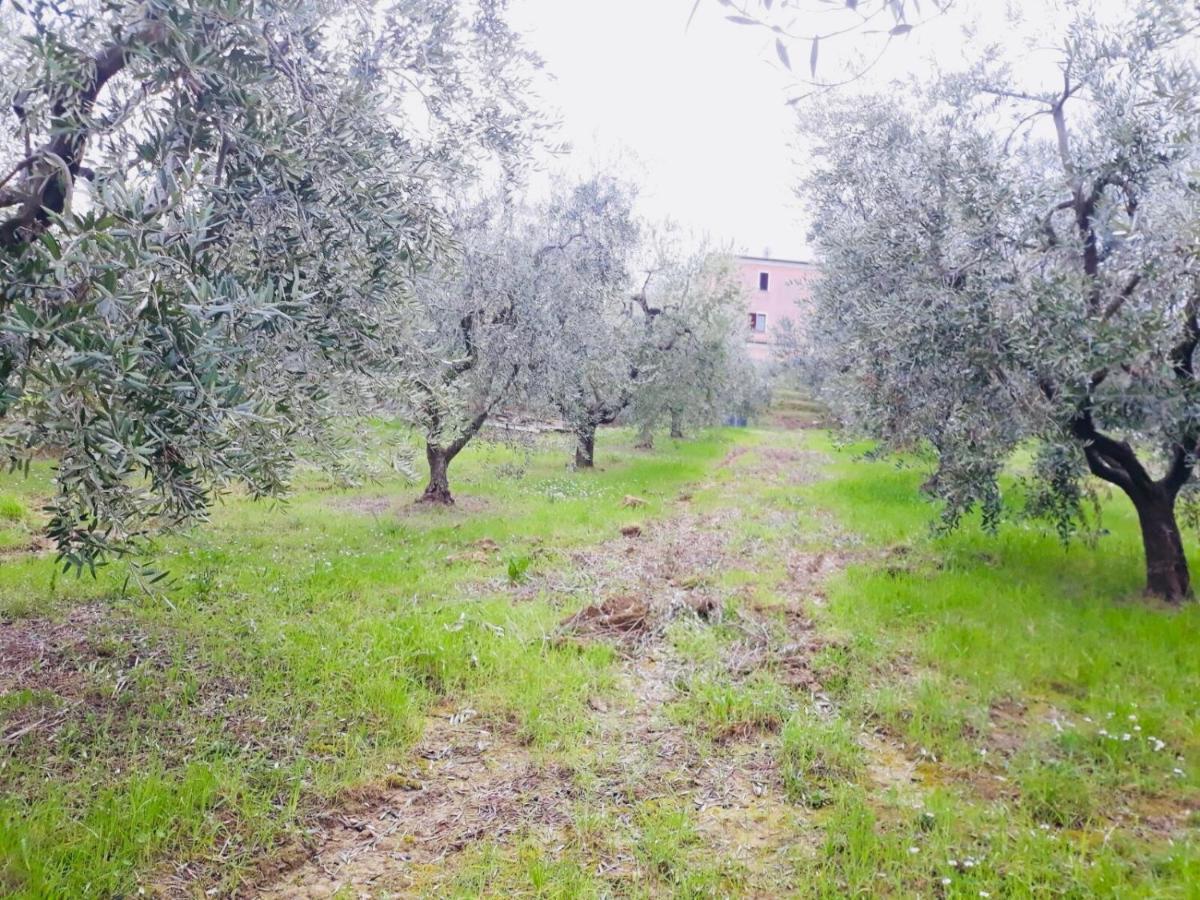 Ellebi B&B Montone  Exteriér fotografie